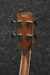 Ibanez PNB14E OPN Acoustic Bass Guitar-Buzz Music