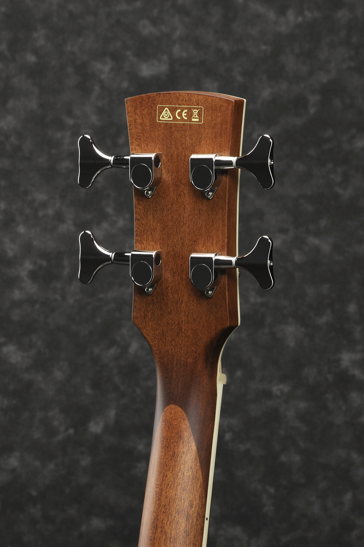 Ibanez PNB14E OPN Acoustic Bass Guitar-Buzz Music