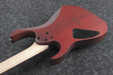 Ibanez RG421PB CHF Electric Guitar-Buzz Music