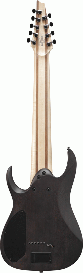 Ibanez RG9PB Transparent Gray Flat 9 String Electric Guitar-Buzz Music