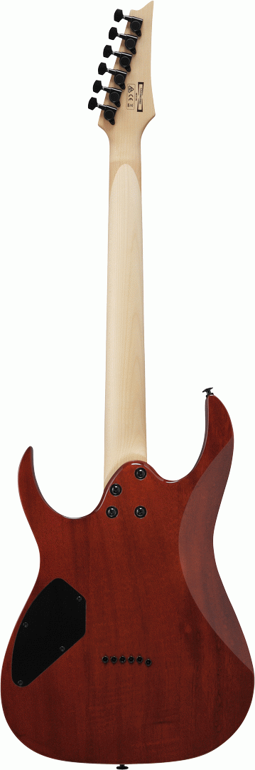 Ibanez RGR221PA AQB Gio Electric Guitar-Buzz Music