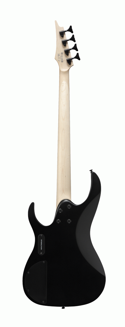 Ibanez RGB300 BKF Electric Bass-Buzz Music