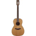 Takamine Pro Series 3 New Yorker Ac El Guitar In Natural Satin Finish-Buzz Music