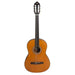 Vc204 Classical Guitar-Buzz Music